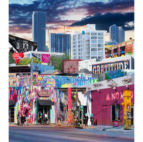 Fotografien, Wynwood 2015, Andrew Soria