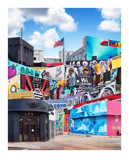 Fotografien, Wynwood 2016, Andrew Soria