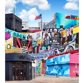 Fotografien, Wynwood 2016, Andrew Soria