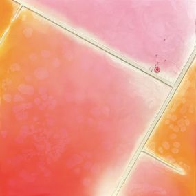 Peinture, Speed Dating #2, Mathieu Lucas