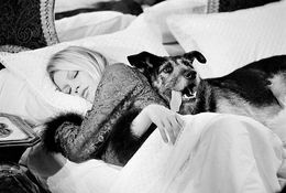 Photography, Brigitte Bardot with Dog, Terry O'Neill
