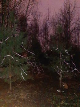 Photography, Purple Sky, Kat Zhivetin
