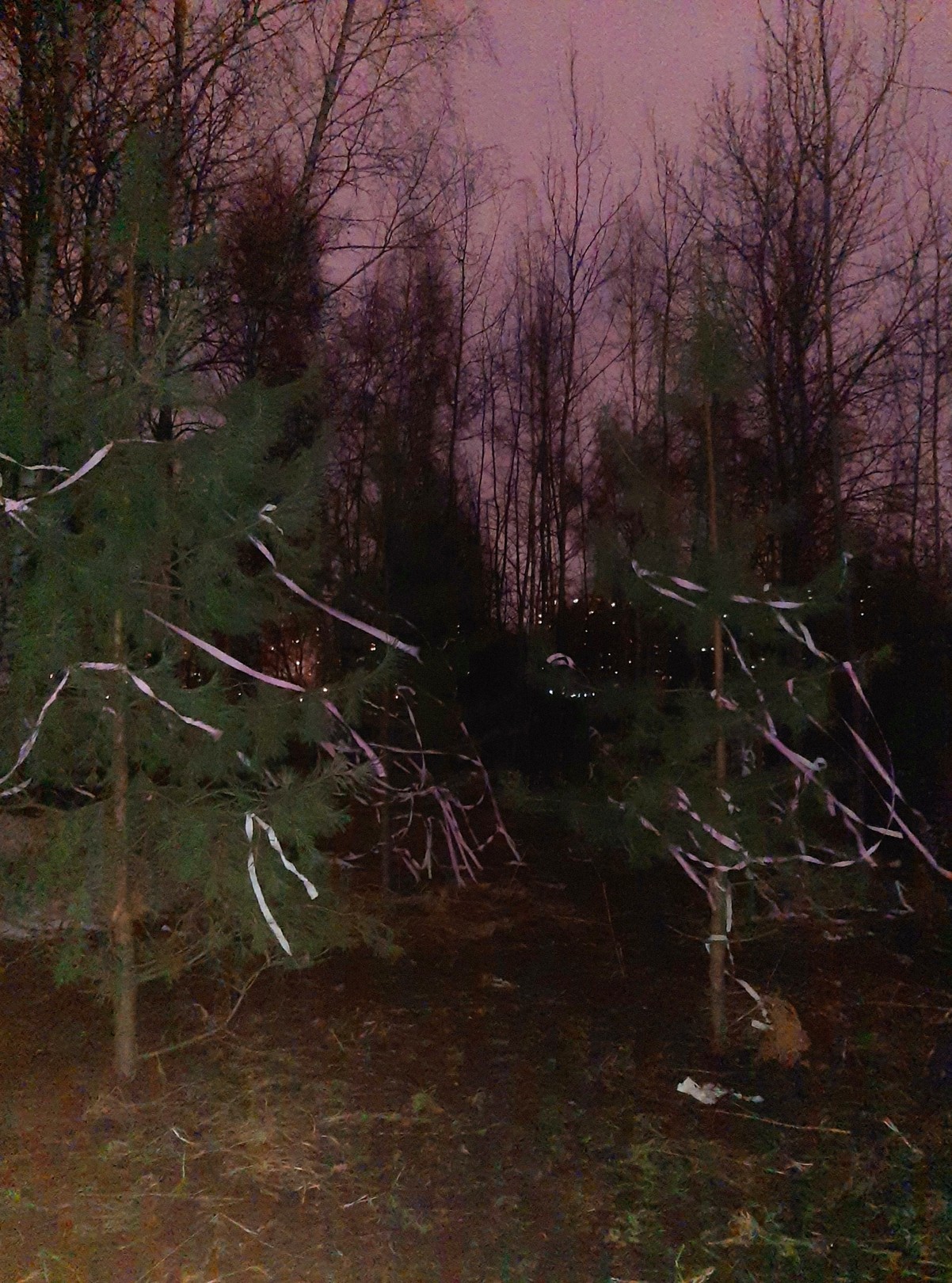Kat Zhivetin, Purple Sky Kat Zhivetin, Purple Sky