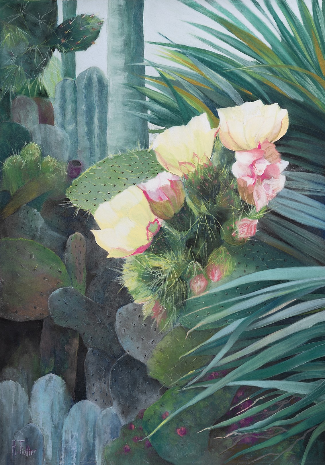 Agnès Tiollier, Fleur de cactus Agnès Tiollier, Fleur de cactus