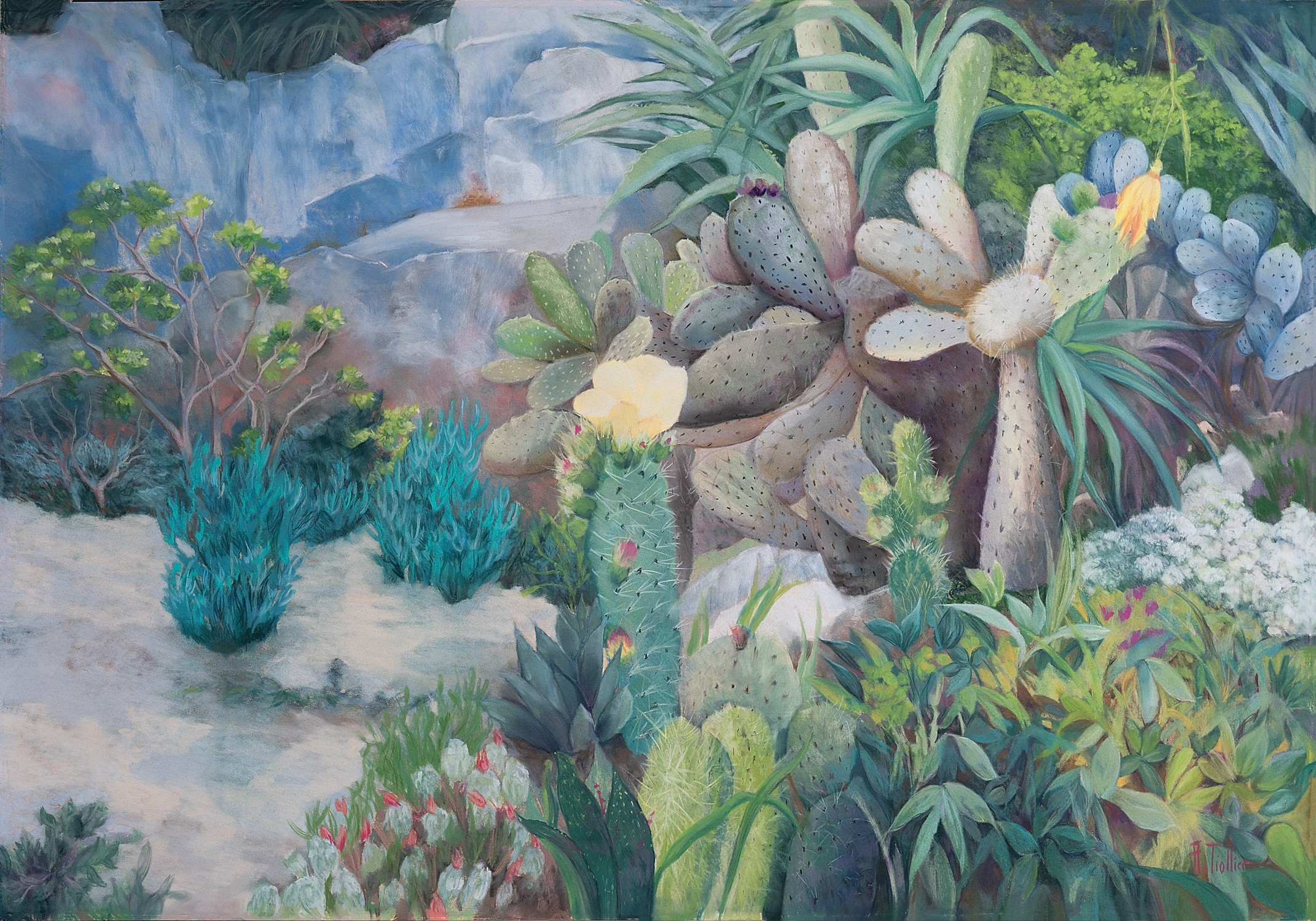 Agnès Tiollier, Jardin méditerranéen Agnès Tiollier, Jardin méditerranéen