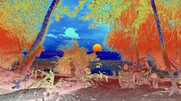 Photographie, Andamanese sunset, Sumit Mehndiratta
