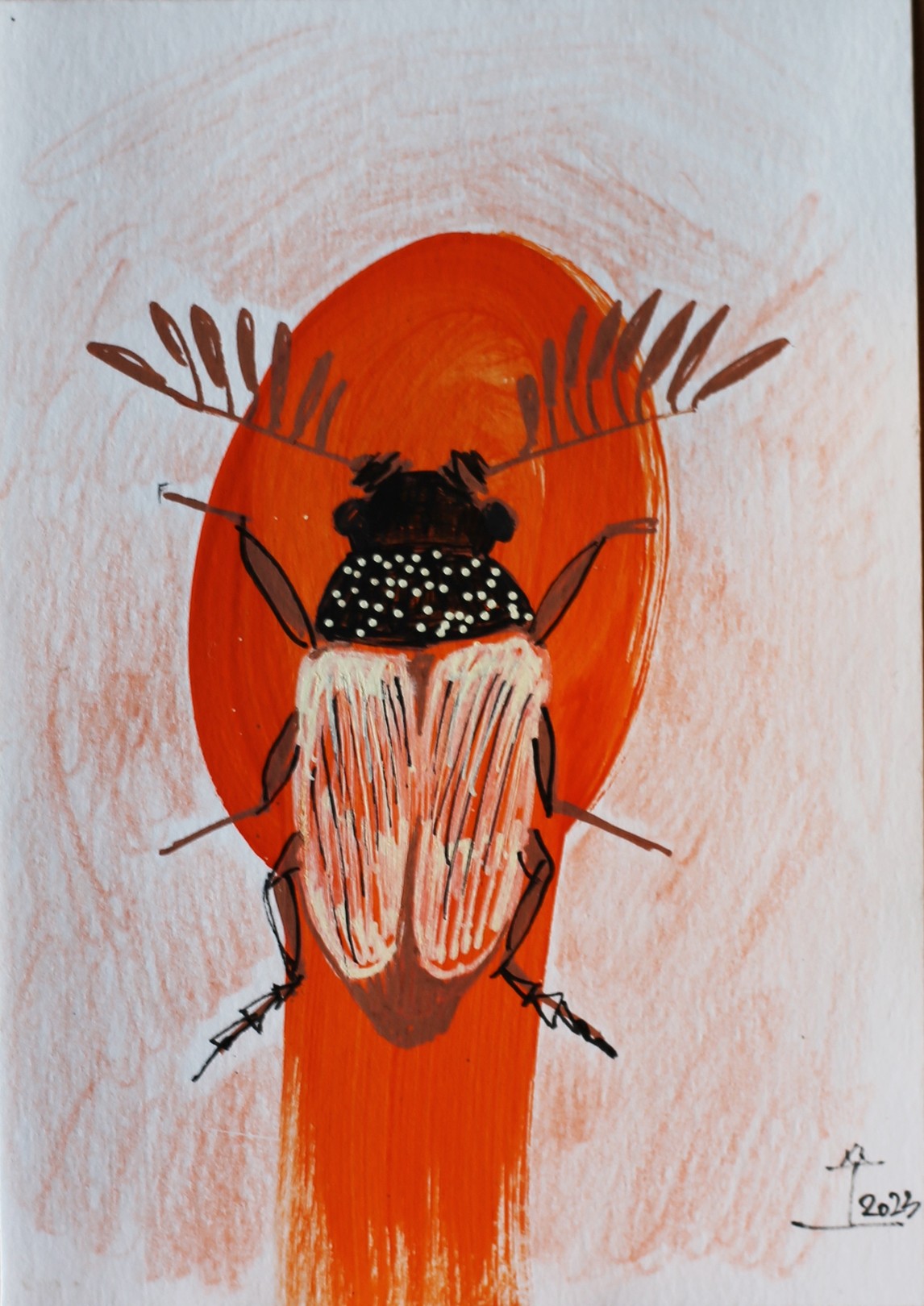 Kim Soo Young, Face of Women with Insects Kim Soo Young, Face of Women with Insects