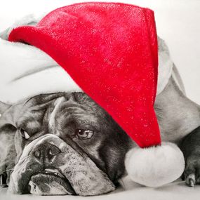 Zeichnungen, Christmas, Karim Benchebra