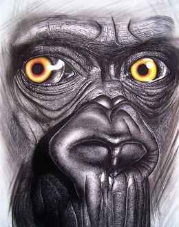 Zeichnungen, Soul of humanity, Karim Benchebra