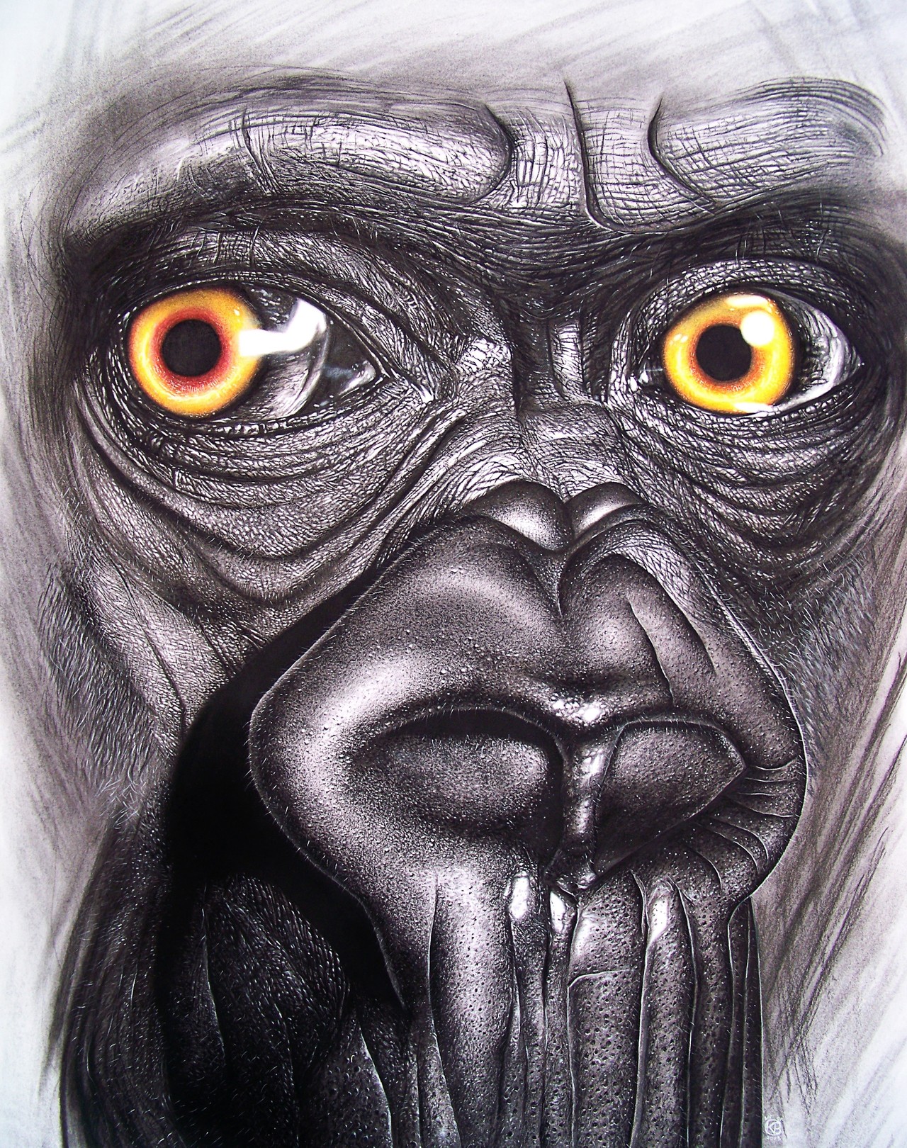 Karim Benchebra, Soul of humanity Karim Benchebra, Soul of humanity