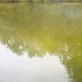 Gemälde, Etang XII, Benoît Trimborn