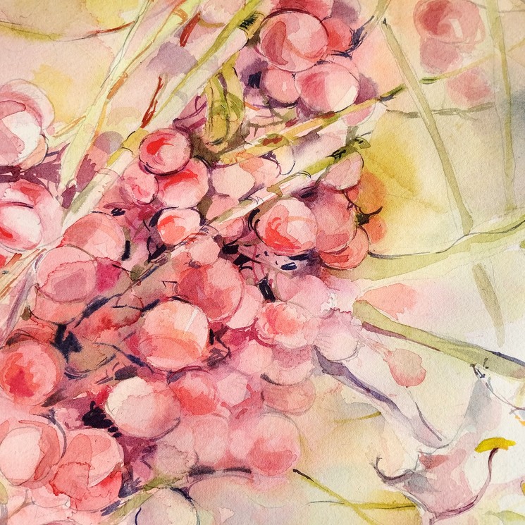 Nadia Bodnar, Fleurs/Sur la plage abandonnée/ Série 