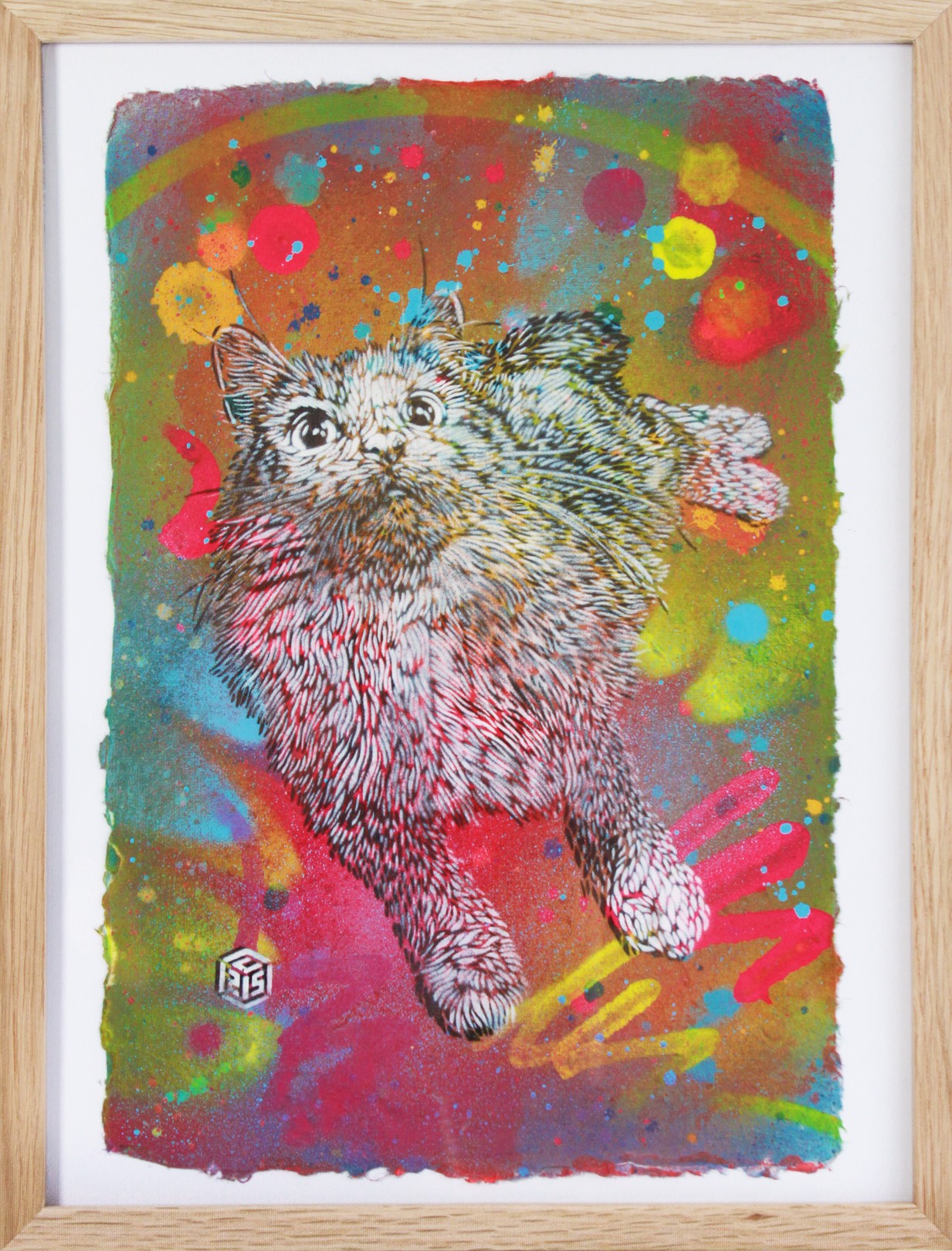 C215, Chat C215, Chat