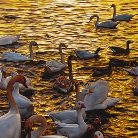 Peinture, Golden Hours (Oiseaux), Christophe Drochon