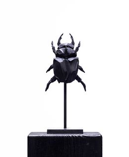 Skulpturen, Oryctes (scarabe), Yoann Merienne
