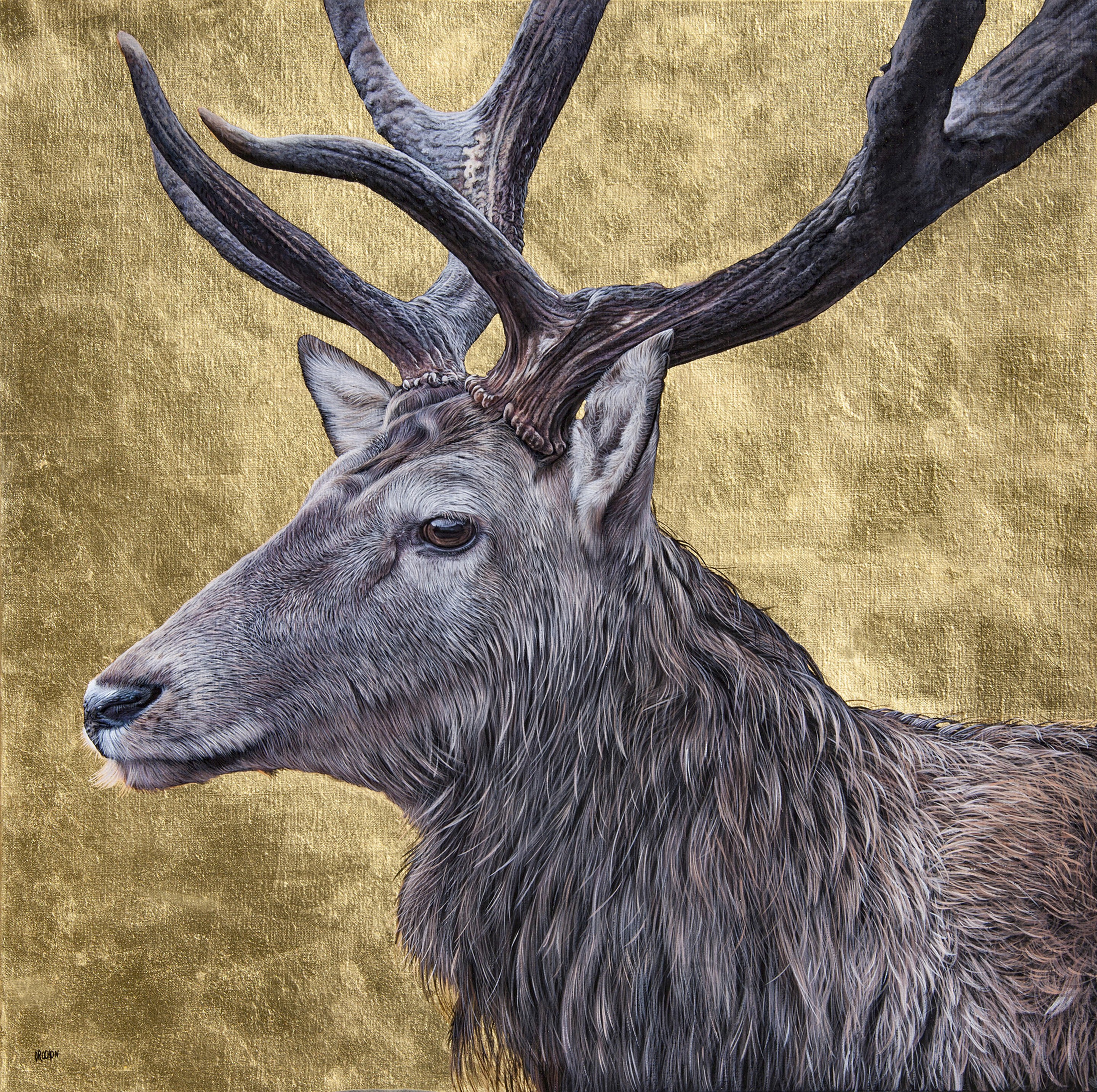Christophe Drochon, L'immortel (Cerf) Christophe Drochon, L'immortel (Cerf)