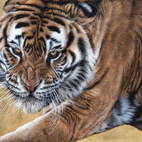 Gemälde, Le retour de l'Alpha (Tigre), Christophe Drochon