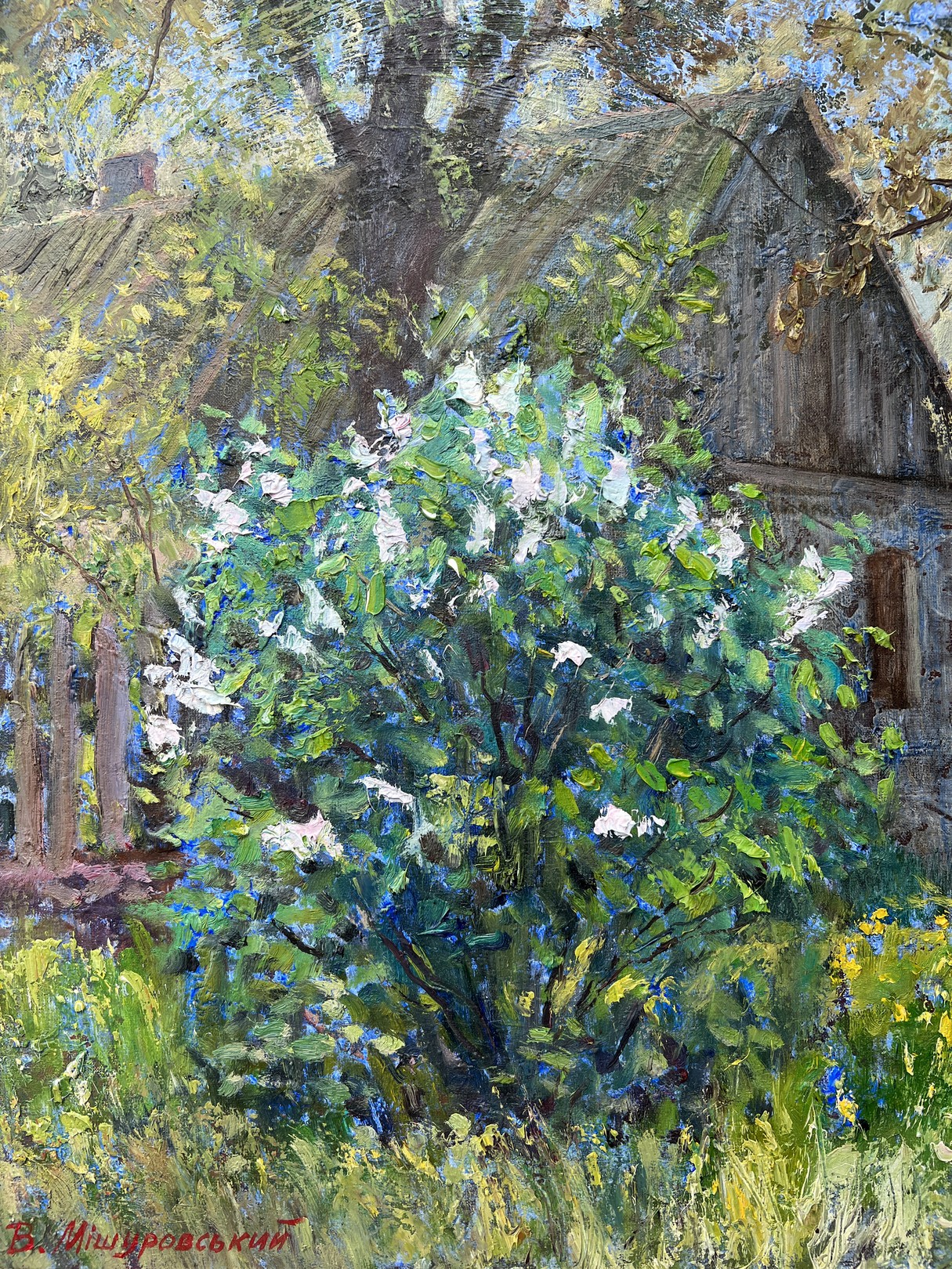 Mishurovsky Victor, Lilac is blooming Mishurovsky Victor, Lilac is blooming