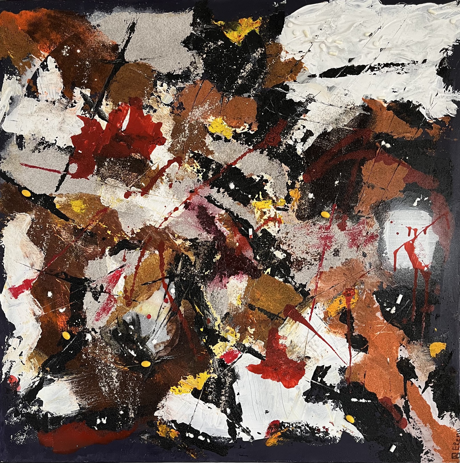 Elena Feteanu, Recherche Elena Feteanu, Recherche