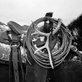 Fotografia, The Long Winter (L), Beau Simmons
