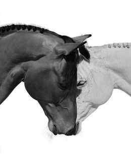 Photographie, Together As One (L), Beau Simmons