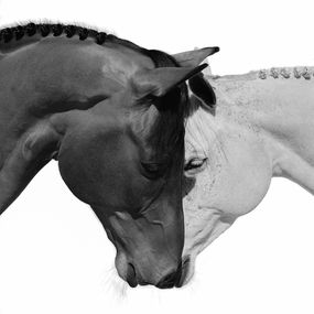 Photographie, Together As One (L), Beau Simmons