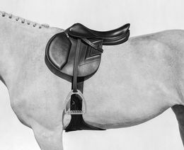 Photographie, The Saddle (M), Beau Simmons