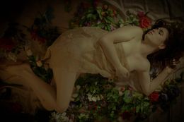 Photography, Like a Renaissance painting, Viet Ha Tran