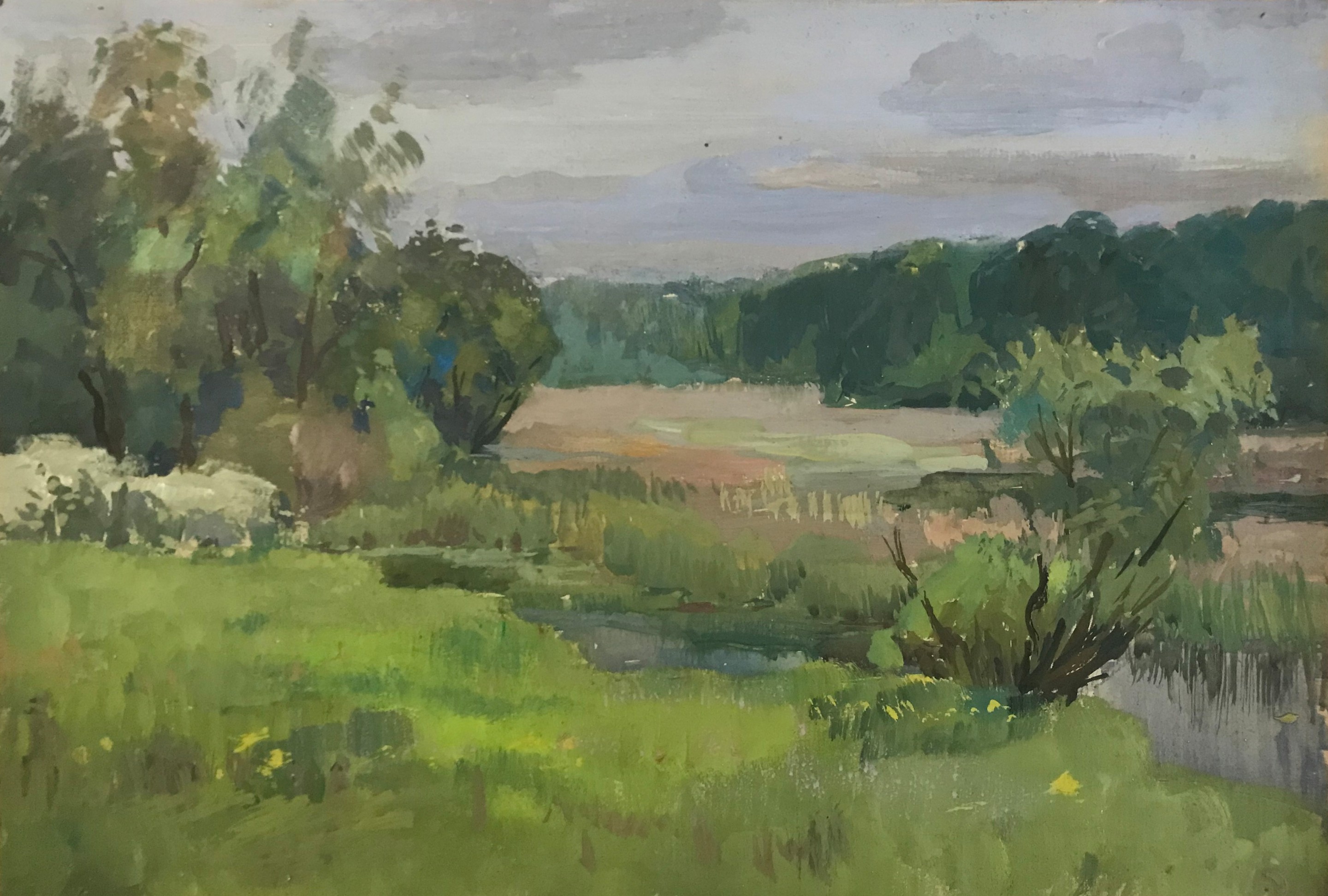 Mishurovsky Victor, Spring landscape Mishurovsky Victor, Spring landscape