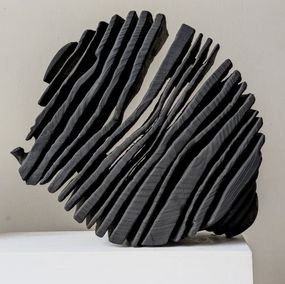 Sculpture, Noir Eucalyptus 090125, Yves Tilly