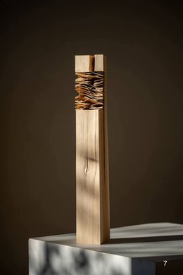 Sculpture, Chêne N°3, Yves Tilly