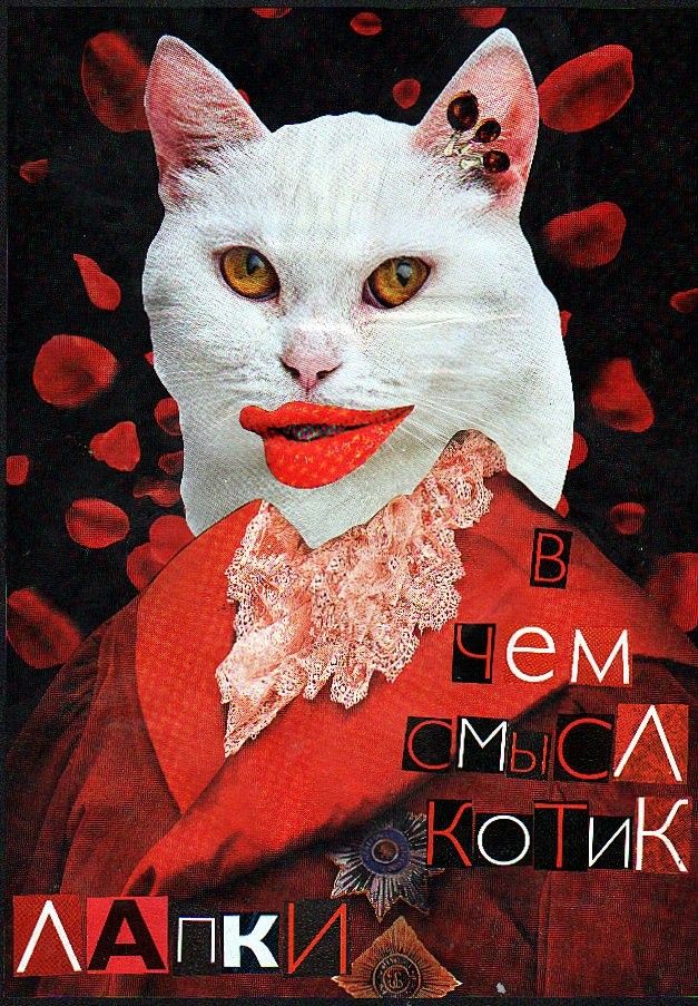 Ekaterina Shitova, What's the point, cat? - Paws Ekaterina Shitova, What's the point, cat? - Paws