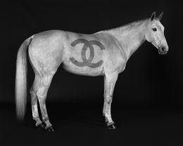 Photographie, Ivory Couture (M), Beau Simmons