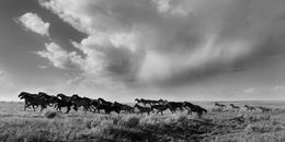 Photographie, The Sound Of Thunder (L), Beau Simmons