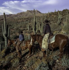 Fotografía, Sonoran Glow (S), Beau Simmons
