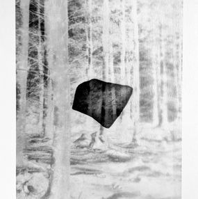 Photographie, Apaiser le brouillard, Anaïs Bastard