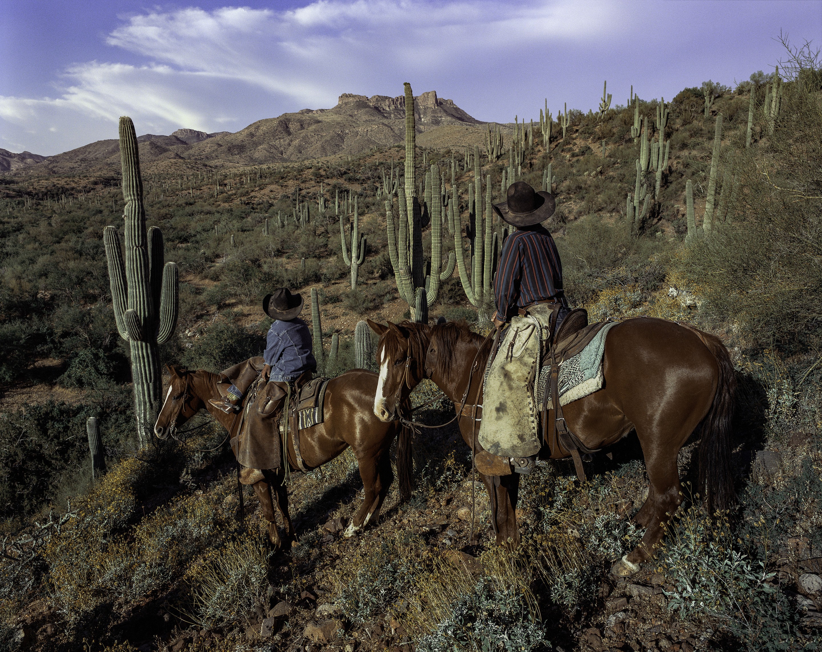 Beau Simmons, Sonoran Glow (L) Beau Simmons, Sonoran Glow (L)