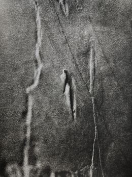 Photography, Ombrihl 2, Leah Desmousseaux
