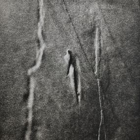 Photography, Ombrihl 2, Leah Desmousseaux