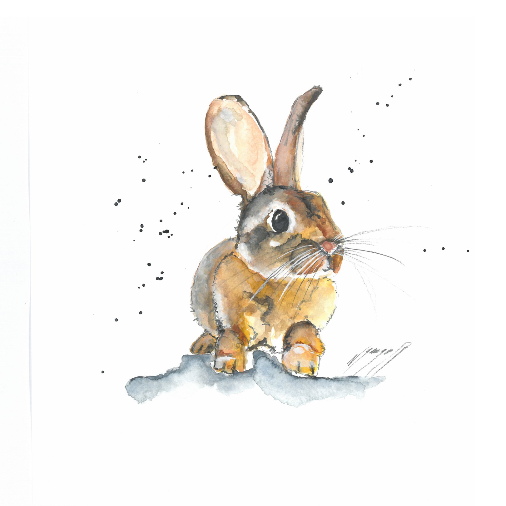 Noël Granger, Mon doux lapin ! Noël Granger, Mon doux lapin !