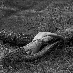 Photography, La lune n'a rien à craindre des loups #21, VAM / Jean-Pierre Gilson