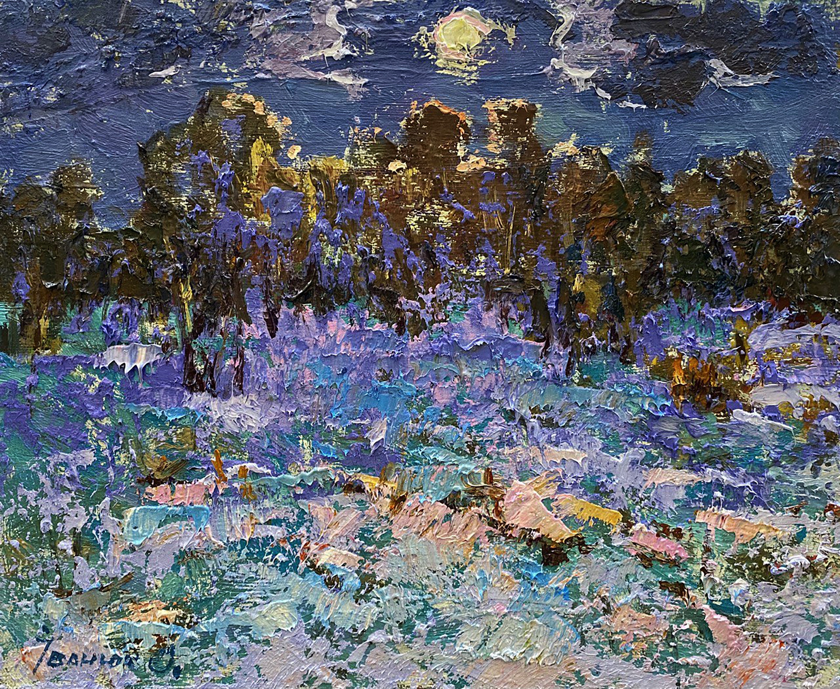 Ivanyuk Oleksiy, Moonlit night Ivanyuk Oleksiy, Moonlit night