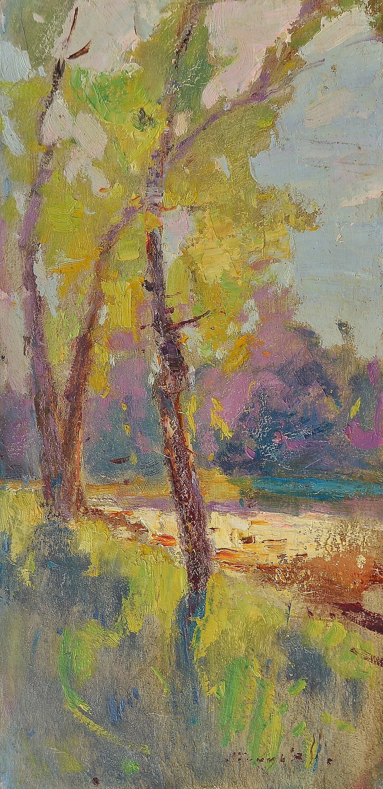 Alexander Shandor, Summer Kontrazhur Alexander Shandor, Summer Kontrazhur