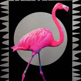 Print, Flamingo, Sorcha Bridge