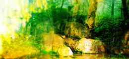 Fotografien, Turtle Rock, Wataru Furuta