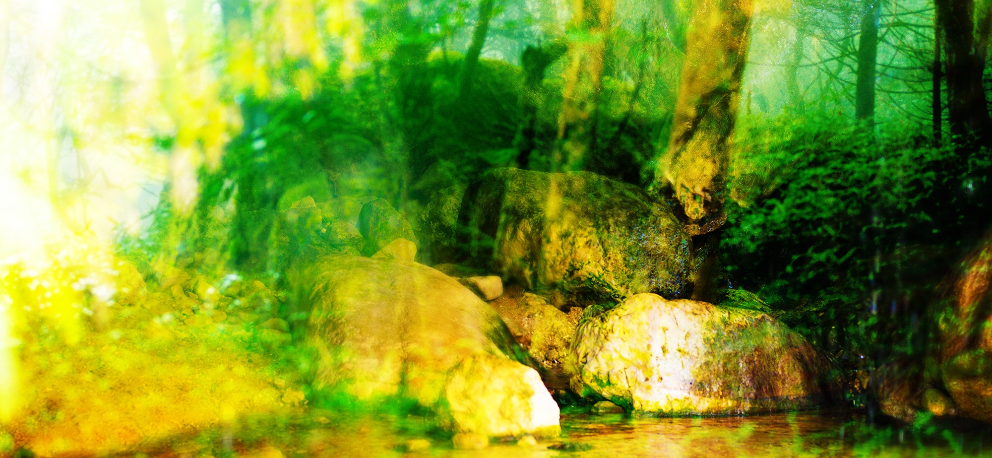 Wataru Furuta, Turtle Rock Wataru Furuta, Turtle Rock