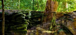 Photographie, Altar, Wataru Furuta