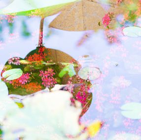 Photography, Silentwater, Wataru Furuta