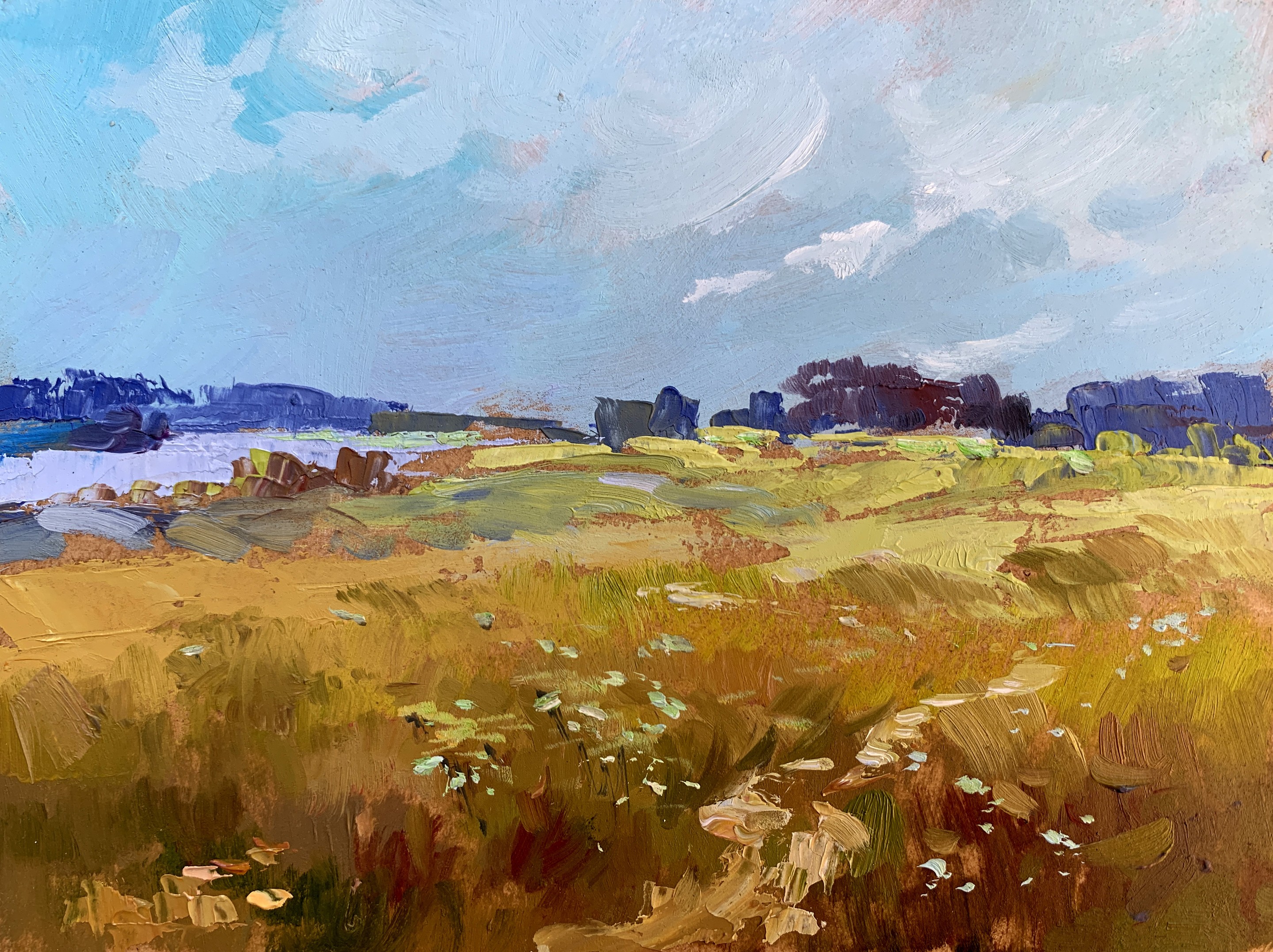 Suprunchuk Yuriy, Summer yellow field Suprunchuk Yuriy, Summer yellow field