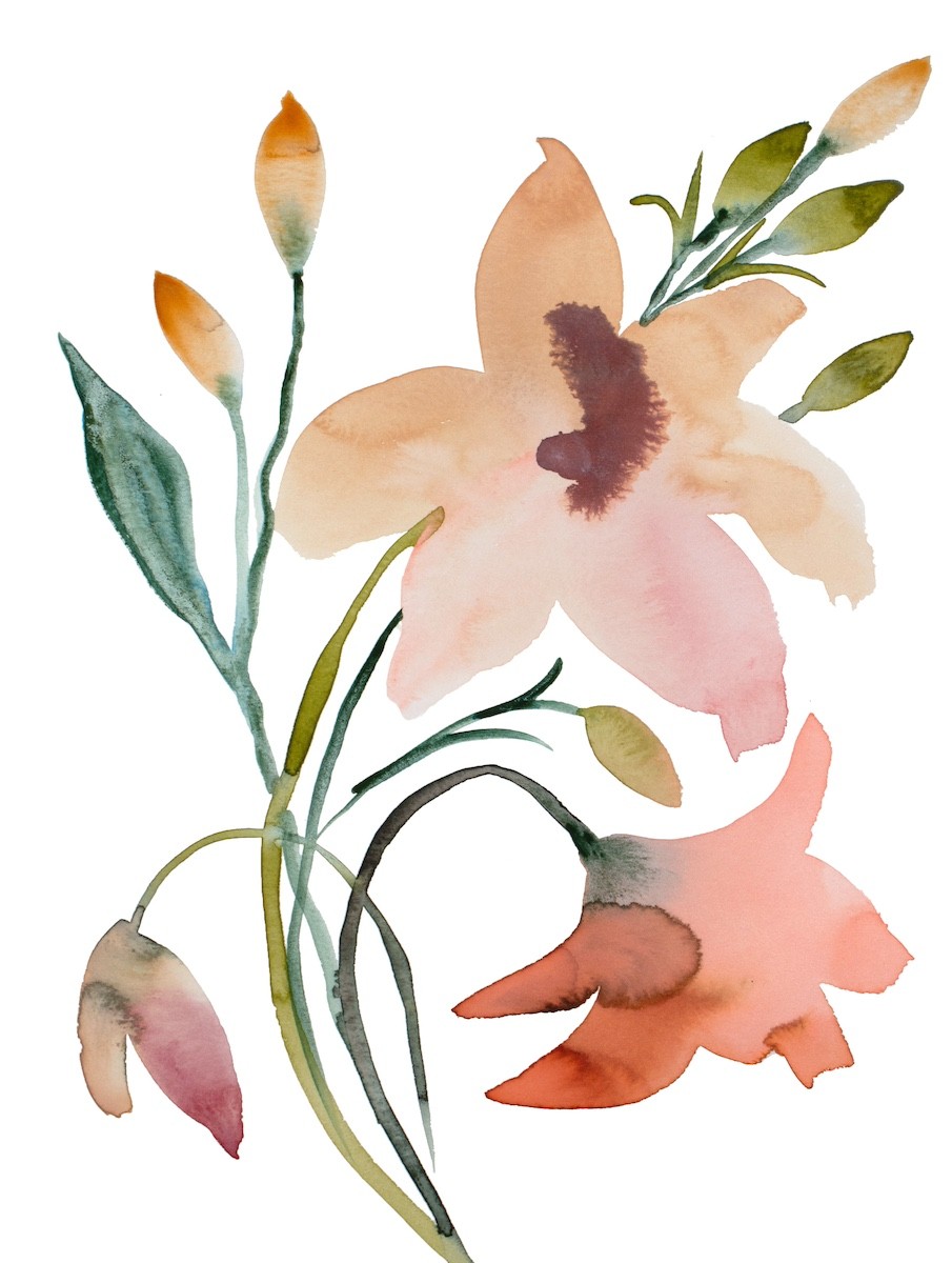 Elizabeth Becker, Floral No. 44 Elizabeth Becker, Floral No. 44